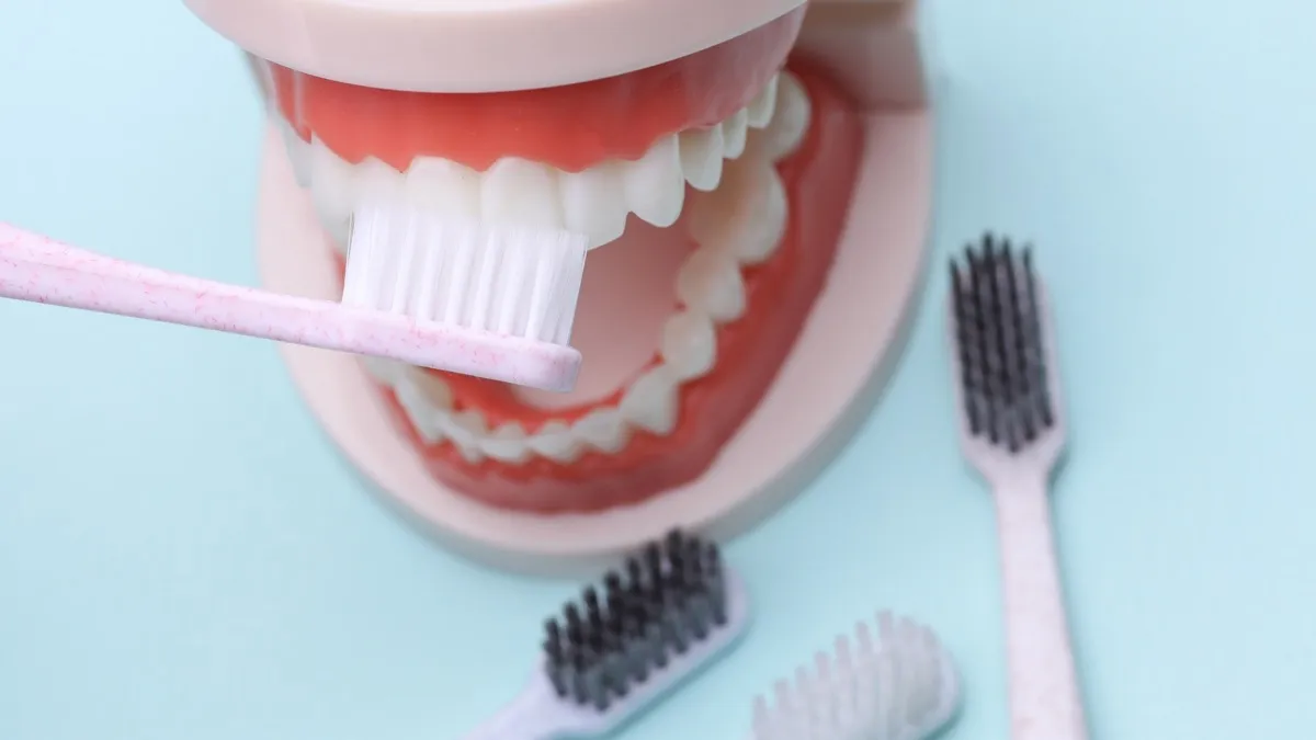 Diş modeli üzerinde doğru fırçalama ve günlük ağız hijyeni örneği